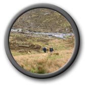 Hillwalking