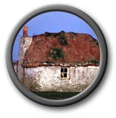 Thatched cottage